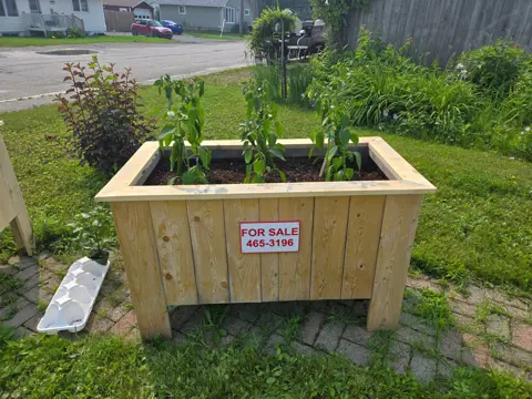 Planters, photo 3